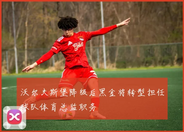 沃尔夫斯堡降级后黑金将转型担任球队体育总监职务