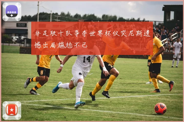 非足联十队争夺世界杯仅突尼斯遗憾出局尴尬不已