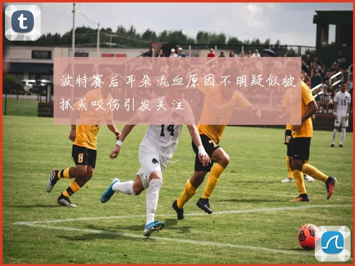 波特赛后耳朵流血原因不明疑似被抓或咬伤引发关注