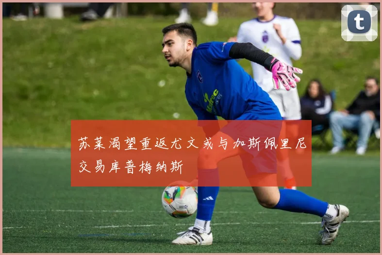 苏莱渴望重返尤文或与加斯佩里尼交易库普梅纳斯